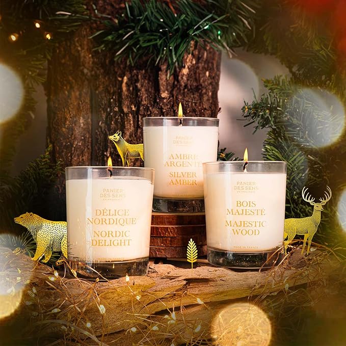 Panier des Sens Silver Amber Long-Lasting Scented Candle, 6.3 oz | Hand-Poured In Provence | Up To 55 Hours Burn Time | 100% Natural Cotton Wick | Long-Lasting French Home Fragrance