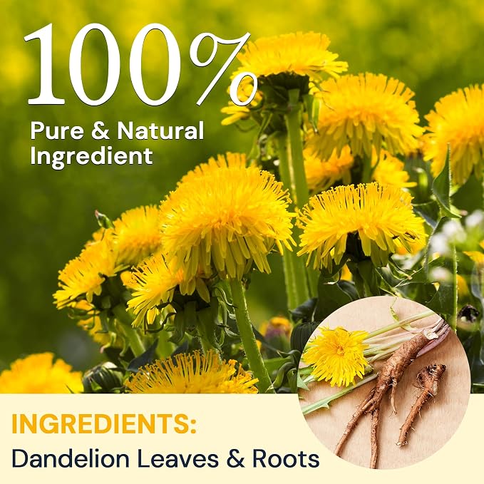 Dandelion Leaf & Root Herbal Tea-Caffeine-free herbal tea，No Sugar，100 Teabags