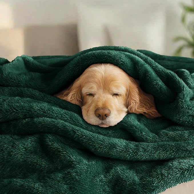 Exclusivo Mezcla Fuzzy Plush Fleece Bed Blanket Twin XL Size, Forest Green | 90x66 Inches, Super Soft and Cozy Bed Blanket, Fluffy Blanket for Bed, College Dorm Room Essentials, All Season