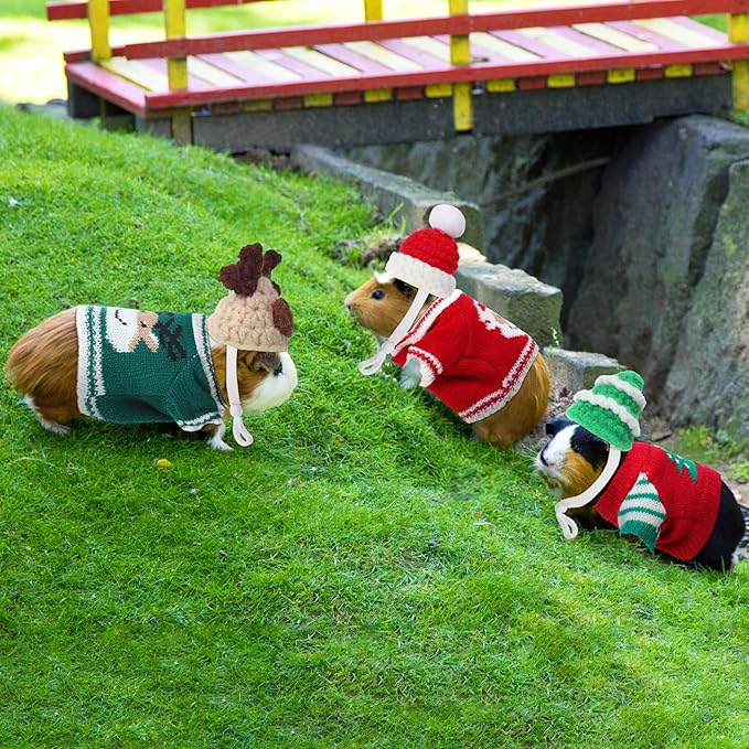10 Pcs Guinea Pig Clothes, 5 Guinea Pig Costume Outfit, 5 Mini Hat with Adjustable Strap Small Animal Warm Vest Sweater Cozy Hand Knitted Hat for Hamster Bunny(Classic)