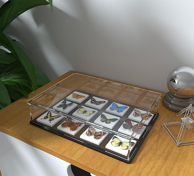 Acrylic Display Case for Book, Clear Flat Acrylic Box for Displaying Books, Medals, Stamps, Collectibles and Cards