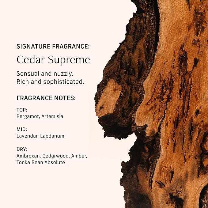 CYKLAR Perfume Oil for Skin – Cedar Supreme Scent – Crisp, Aromatic & Warm Perfume Fragrance with Bergamot, Lavender & Cedarwood Notes – Travel-Friendly 15ml
