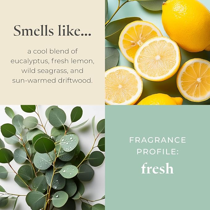 PartyLite Seagrass Eucalyptus Scented Jar Candle + (1) Refill - Notes of Eucalyptus, Lemon, Seagrass & Driftwood, 10oz 1-Wick Aromatherapy Candle
