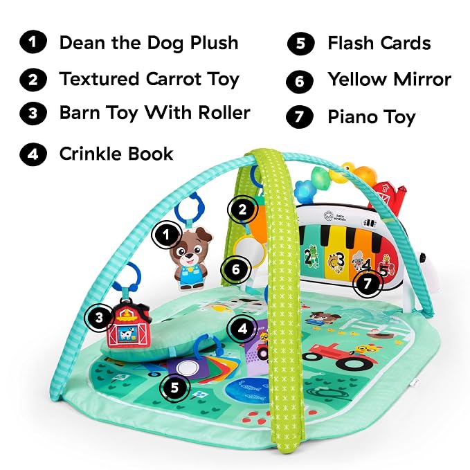 Baby Einstein Farm Explorers 4-in-1 Kickin’ Tunes Musical Meadow Music & Language Discovery Gym, Ages 0 Months and Up