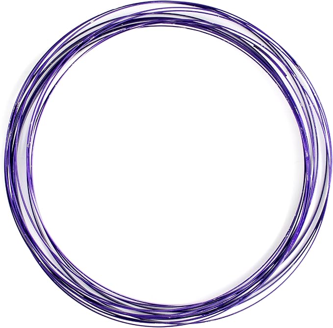 Digital Energy Kinetic Educational Spring Toy - Multi Sensory Interactive 3D Shaped Flow Ring ()