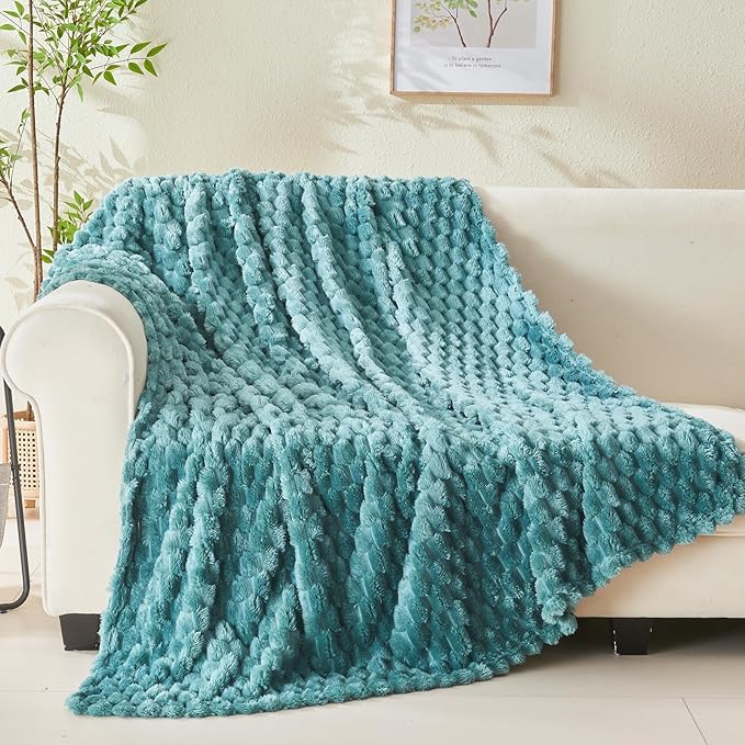 NEWCOSPLAY Super Soft Twin Blanket Light Teal Premium Silky Flannel Fleece 3D Clouds Stylish Jacquard Lightweight Bed Blanket All Season Use 350GSM (Light Teal, Twin(60"x80"))