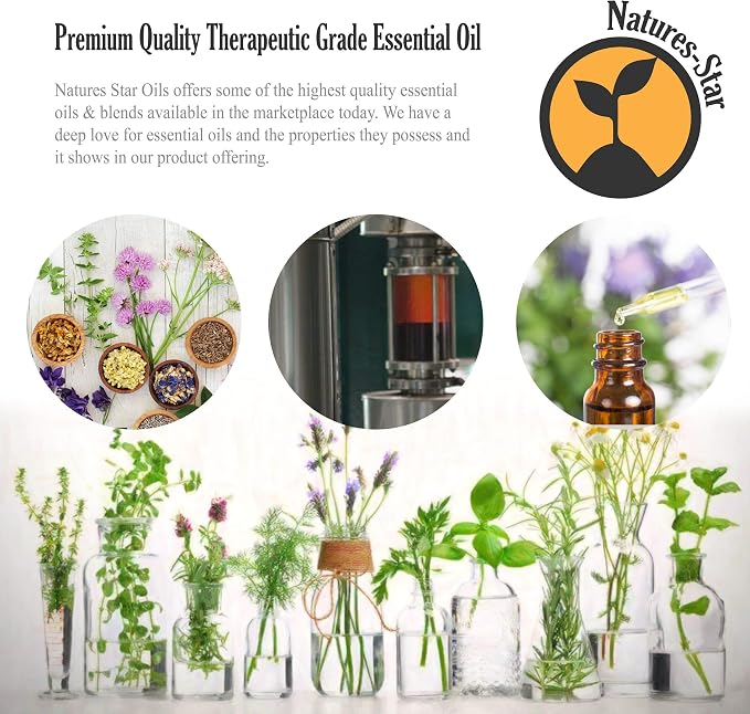 Natures-Star 2 Pack 16oz Bulk Size Tea Tree Essential Oil - (32 Ounce Total) - Therapeutic Grade Essential Oil - 16 Fl Oz Tea Tree Oil Bottles - Bulk Tea Tree Oil - Bulk Essential Oils