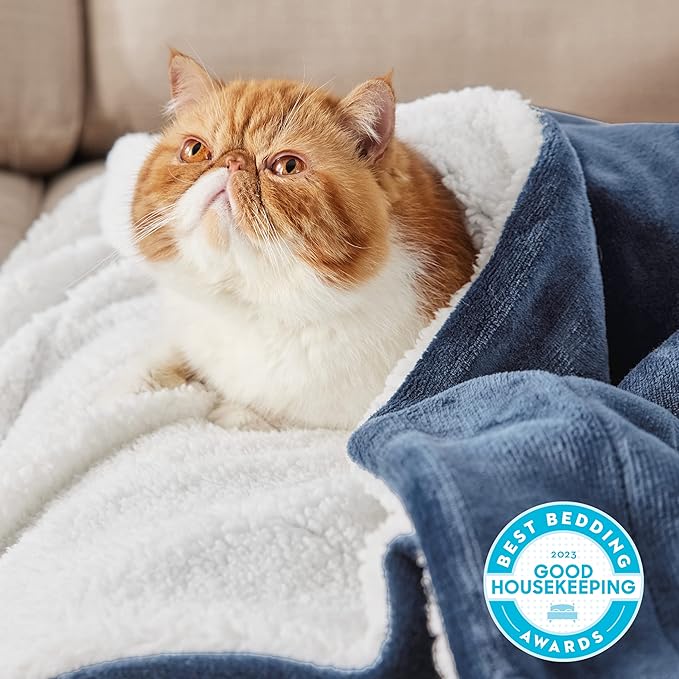 Bedsure GentleSoft Sherpa Fleece Twin Size Blanket for Couch, Non-Heated, Thick and Warm Throw for Women and Men, Soft Fuzzy Plush Twin Blanket for Winter, Slate Blue, 60x80 Inches
