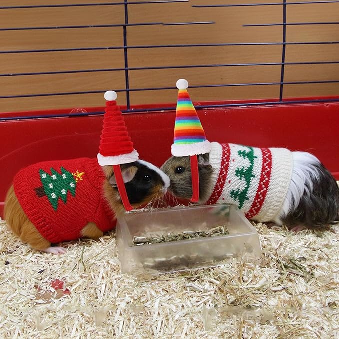 10 Pcs Guinea Pig Clothes, 5 Guinea Pig Costume Outfit, 5 Mini Hat with Adjustable Strap Small Animal Warm Vest Sweater Cozy Hand Knitted Hat for Hamster Bunny (Modern)