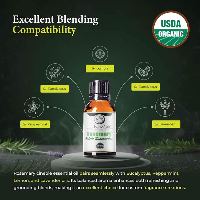 Organic Rosemary Essential Oil Chemotype Cineole | 100% Pure Steam Distilled Rosemary Oil | Fresh Herbaceous Aroma for Diffuser Aromatherapy, Massage Blends & DIY Recipes | Spain – 10ml