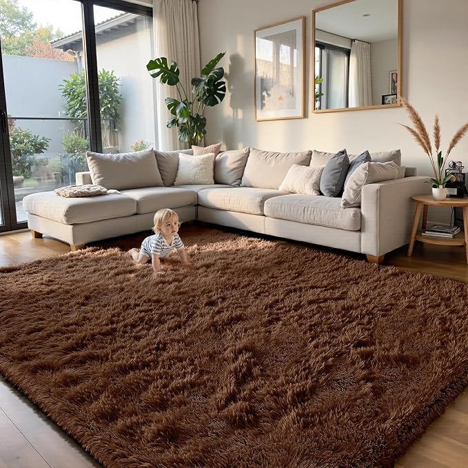 Fluffy Rug Shag Area Rug, Brown 5x8 Area Rugs for Bedroom, Small Bedside Rug, Soft Fluffy Shag Entryway Throw Rugs for Living Room Bedroom Room Home Decor