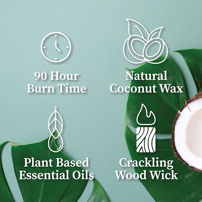 Hemlock Park Scarlet Rose Apothecary Scented Candle | Crackling Wood Wick, Botanical Fragrance & Coconut Apricot Wax | Up to 80 Hour Burn Time | 16 oz | Made in USA