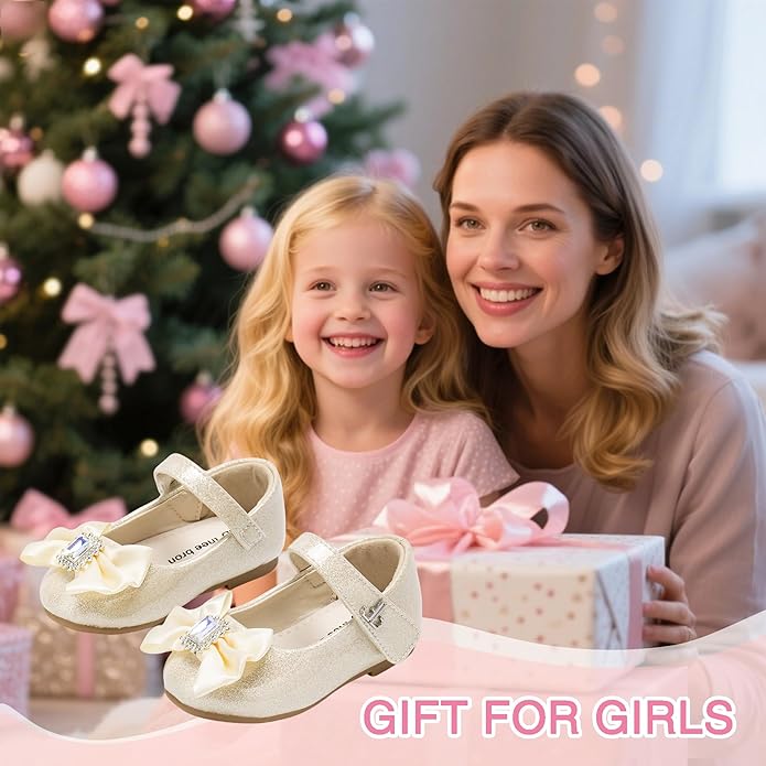 THEE BRON Mary Jane Ballet Flats - Girls' Dress Shoes with Hook & Loop Closure