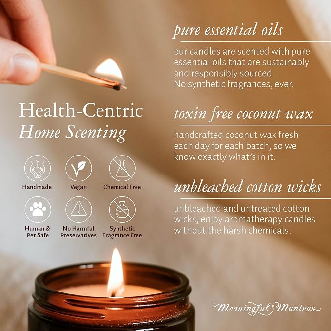 Harvest Apple Pure Essential Oils Non-Toxic Fall Aromatherapy Candle 8oz Coconut Wax Candle
