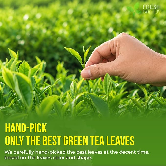 FreshDrinkUS, Premium 175 Green Tea Bags, 100% Natural & Pure from Green Tea Leaves. Loose Leaf Green Tea Herbal Tea. Made with Natural Material Tea Bags. No Sugar, No Gluten, Vegan.
