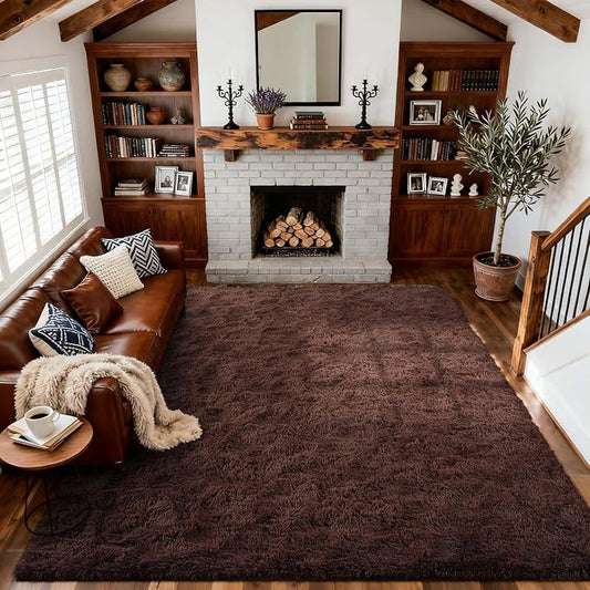 4x6 Ft Brown Shag Rugs for Bedroom Living Room, Ultra Soft Fluffy Furry Area Rug for Indoor Floor, Aesthetic Carpet for Home Decor