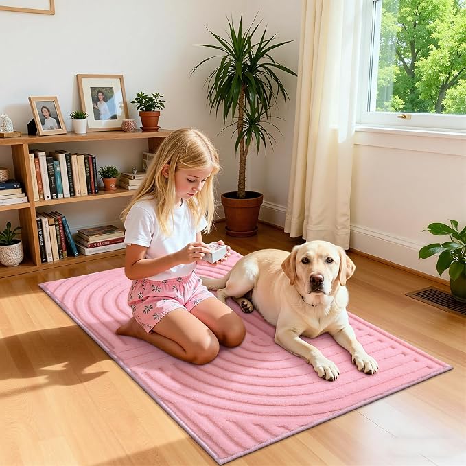 Pauwer 2x3 Area Rugs for Living Room, Modern Non Slip Washable Rug, Pink | Arch Pattern, Soft Fluffy, Neutral, Boho Accent, Solid Color Floor Carpet, For Kids Room Dining Room Nursery Entryway