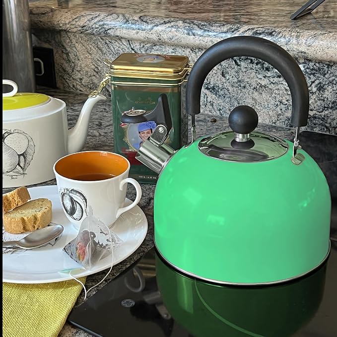 Lily's Home 2 Quart Stainless Steel Whistling Tea Kettle, the Perfect Stovetop Tea and Water Boilers for Your Home, Dorm, Condo or Apartment. (Pastel Green)