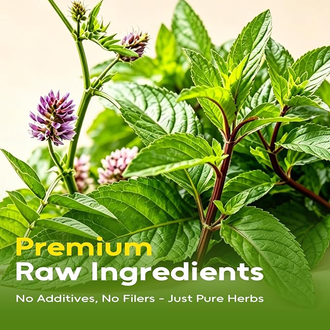 FullChea - Licorice Mint Tea Bags, 40 Count, Herbal Tea Blend | Premium licorice root blend with peppermint leaves, rich in natural goodness with a refreshing minty and subtly sweet taste