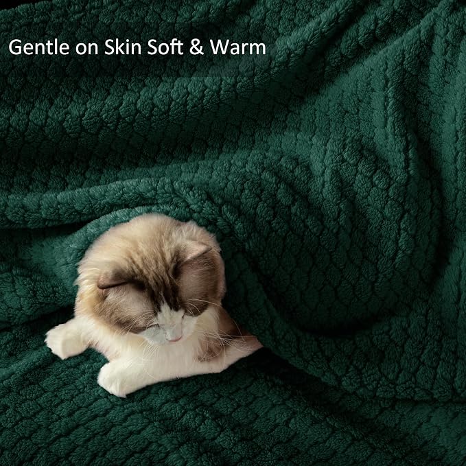 Exclusivo Mezcla Soft Fleece Twin Size Blanket for Bed, Forest Green | Jacquard Lightweight Cozy Bed Blanket, Breathable Decorative Fuzzy Textured All Season Use, 60x80 Inches
