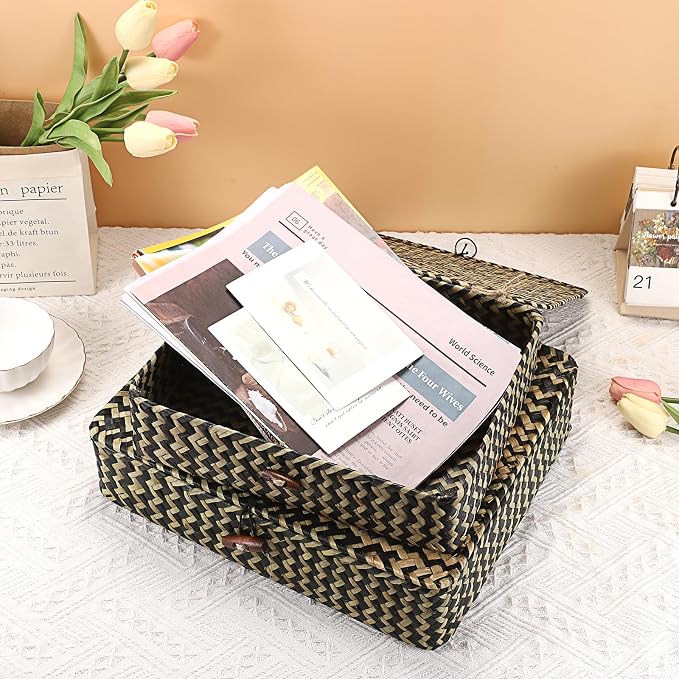 Hipiwe 2Pcs Flat Wicker Woven Basket with Lid Natural Seagrass Storage Box | Shelf Baskets Bin for Home Decor, Multipurpose Household Basket Organizer, Set of 2, Blacks Strips
