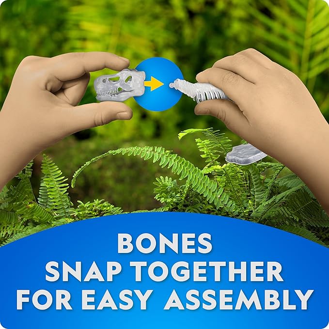 National Geographic Glow-in-The-Dark Dinosaur Skeleton Model Building Kit – Build Replica Velociraptor & T. rex Skeletons, Educational Dinosaur Egg Activity Kit for Kids, Easter Basket Stuffers