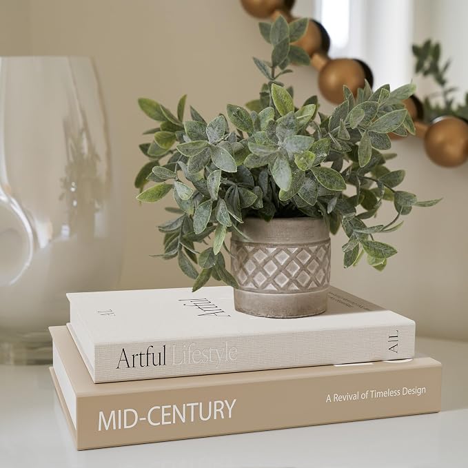 Aesthetic Decorative Books Set of 2 - Stylish Boxes for Coffee Table Decor | Stylish Modern Home Decoration for Your Bookshelf or Mantel, Faux/fake Books Doubles as Photo Storage or Keepsake Box