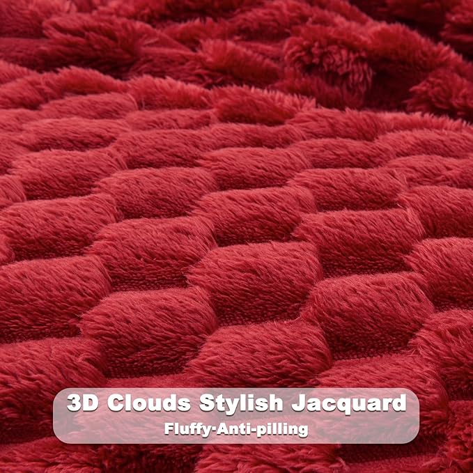 NEWCOSPLAY Super Soft Twin Blanket Red Premium Silky Flannel Fleece 3D Clouds Stylish Jacquard Lightweight Bed Blanket All Season Use 350GSM (Red, Twin(60"x80"))
