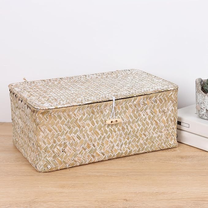 FEIALNDUO Wicker Shelf Baskets with Lid,Seagrass Storage Basket Bins Rectangular Handwoven Basket Boxes for Shelves Desktop Home Organizer (Whitewash, Medium)
