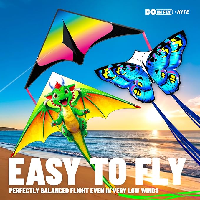 Kite for Ages 8-12, Easy to Fly and Assemble Rocket Kites for Beginner, Single Line String Professional Kites for Beach and Outdoor Activity