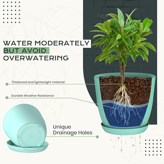 Plant Pots Indoor with Drainage, 10 Pack Multi-Size Planters Set, Aqua | Drainage holes included Multiple sizes 7/6.6/6/5.3/4.8 In Indoor plants and flowers Durable plastic construction