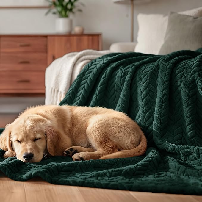 Exclusivo Mezcla Soft Fleece Bed Blanket Queen Size, 90”x90”, Forest Green | Cozy Fluffy Lightweight Blankets for Summer, Decorative Plush Flannel Throws for Living room, Bedroom with Leaves Pattern