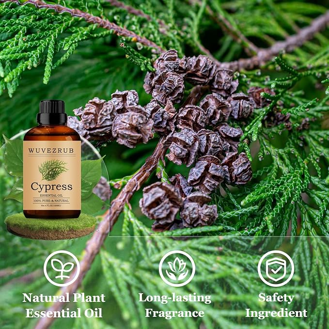 Cypress Essential Oils 120ML, Pure Cypress Essential Oil for Aromatherapy Diffuser - 4 Fl Oz