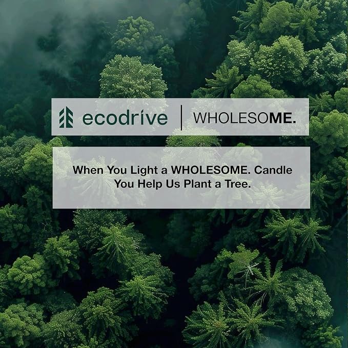 WHOLESOME. Pomegranate Scented Non-Toxic Candles for Home, 2 Wicks Natural Coconut Wax Candle Eco-Friendly, Luxury Aromatherapy Candles Stress Relief, 16 oz Large Concrete Jar, 90 Hours Burn