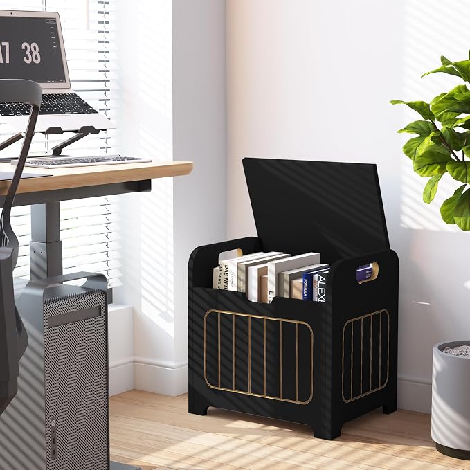 Aenuert Storage Chests, Small Cube Organizer Box,Wooden Entryway Storage (Black, With Handle)