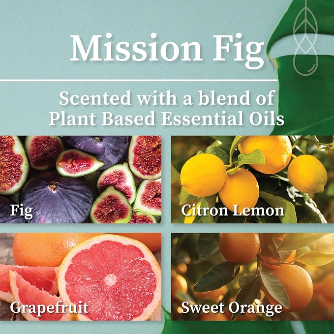 Hemlock Park Mission Fig Apothecary Scented Candle | Crackling Wood Wick, Botanical Fragrance & Coconut Apricot Wax | Up to 80 Hour Burn Time | 16 oz | Made in USA