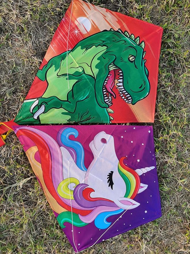 HONBO DIY Kite for Kids, Beginners Kite for Children, Wonderful Eddy Kite for 3 Years up, with 2x300cm Long Tails, Kite Handle, 60m String and Swivel incloud