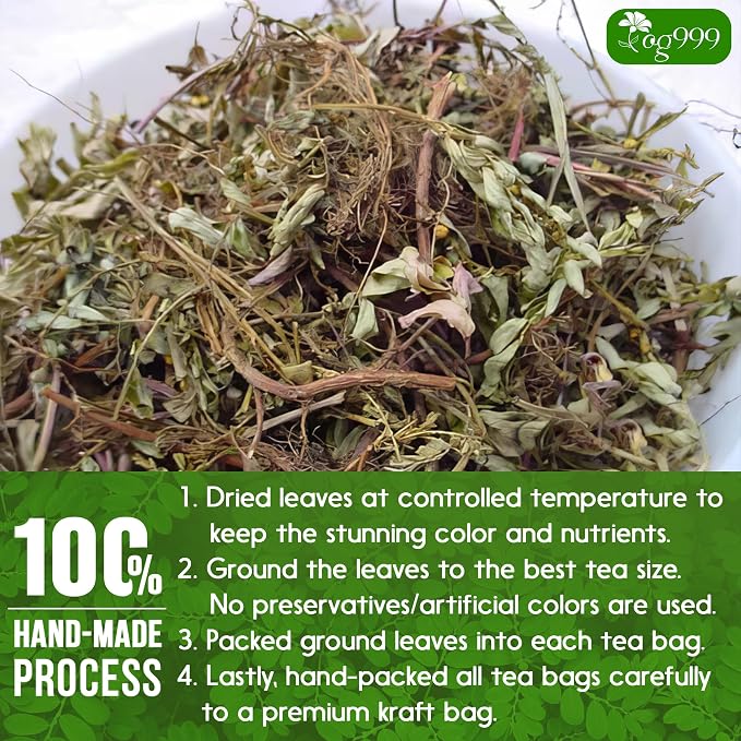 TOG999, Premium 60 Chanca Piedra Leaf Tea Bags, 100% Natural & Pure from Chanca Piedra Leaves. Loose Leaf Chanca Piedra Herbal Tea. Made with Natural Material Tea Bags. No Sugar, No Caffeine, No Gluten, Vegan.