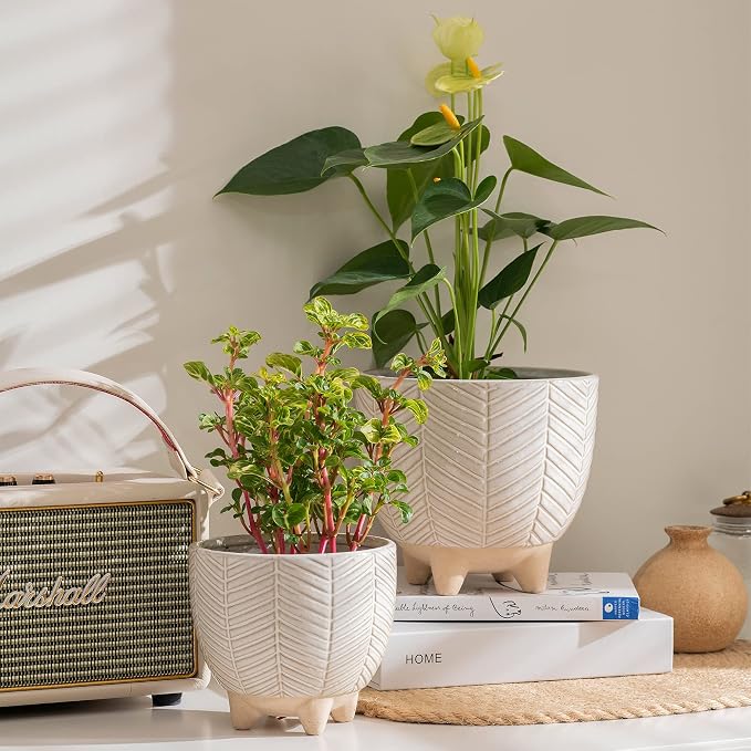 LA JOLIE MUSE Ceramic Plant Pots, Flower Pots for Indoor Plants, Set of 2 | 6.7+5.1 Inch Boho Decorative Footed Planter Pot with Drainage Hole for Indoor Plants, Living Room, Bedroom, Home Decor