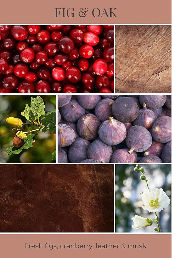 Eco Candle Co. Fig & Oak Tea Light Candles, 10-Pack, 9 Hr Burn Time | Scents of Figs, Cranberries, Leather, & Musk - Recyclable Plastic Cups, No Lead, Hand Poured, Midwest Grown Soybeans, .6 oz.
