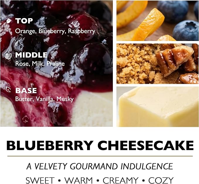 HomeLights Scented Candles for Women & Men, 34oz Candle Jars Aromatherapy 3-Wick Candle, Ideal for Rustic Modern Home Decor and Gifts, Blueberry Cheesecake