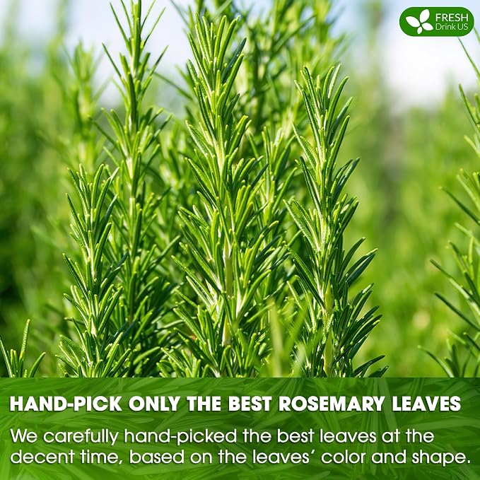 FreshDrinkUS, Premium 135 Rosemary Leaf Tea Bags, 100% Natural and Pure Rosemary Dried Leaves, Pure Herbal Tea, No Additives, No Caffeine, No Gluten, Vegan. (135 Tea Bags)