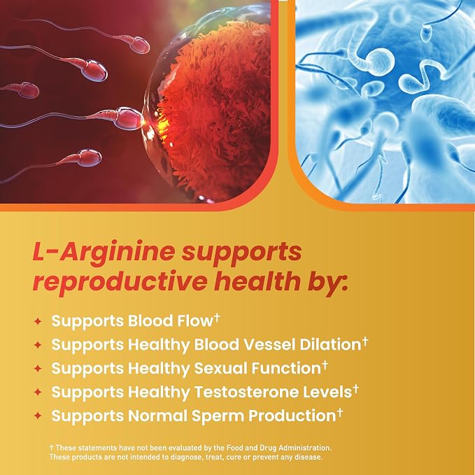 Motility Max – Supports Sperm Motility & Reproductive Health Promotes Healthy Blood Flow, Libido & Testosterone Levels Antioxidant Formula with L-Arginine, L-Carnitine & Essential Nutrients 60 Capsule