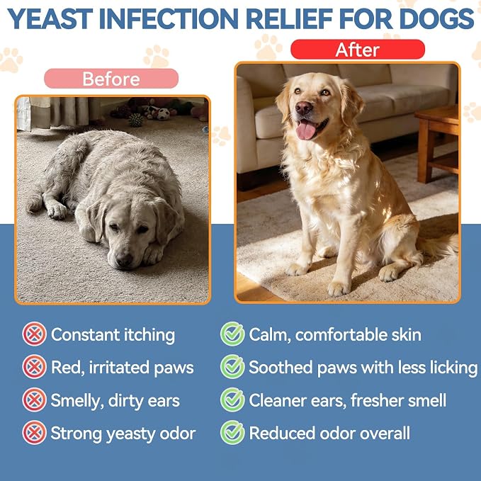 Carmelie Natural Yeast Relief for Dogs, Support Healthy Itch Relief, Ear Paw Discomfort Care, Itch Relief for Dog, Allergy Supports, Inflammation Relief for Dogs, 60ml Bacon Flavor