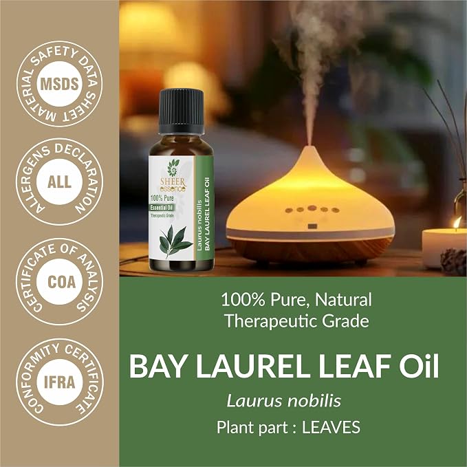 Bay Laurel Leaf Oil- (Laurus Nobilis)- Essential Oil 100% Pure Natural Undiluted Uncut Therapeutic Grade Oil 1.69 Fl.Oz.