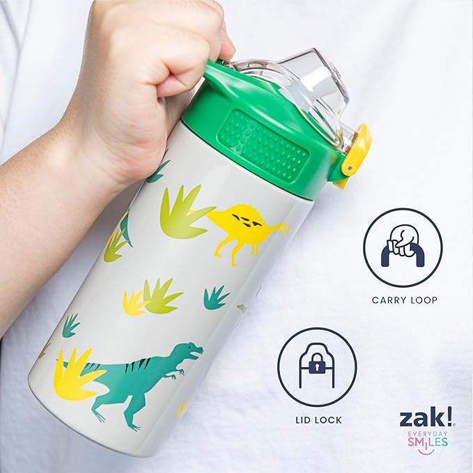 Zak Designs Harry Potter Sage Kids Water Bottle For School or Travel, 19oz Stainless Steel Water Bottle With Straw, Handle, and Leak-Proof, Pop-Up Spout Cover (Magical Creatures)