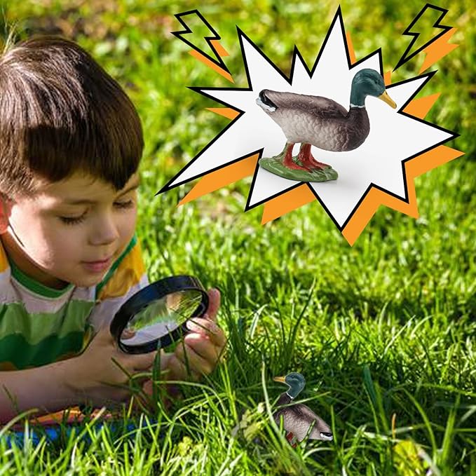 LC JoyCre Mallard Duck Figurines Plastic Duck Toy for Kids Farm Animal Figurines Toy for Toddlers Teaching Tools Educational Gift 3 4 5 6