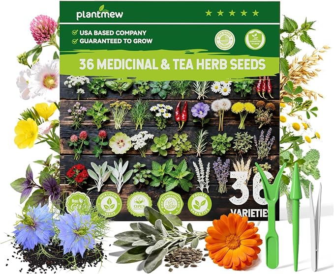 Medicinal Herb Seeds Variety Pack - 36 Non-GMO Herbal Tea Garden Seeds: Chamomile, Lavender, Echinacea, Yarrow, Mugwort for Planting Indoor & Outdoor, Apothecary & Homesteading Supplies
