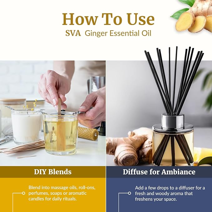SVA Ginger Essential Oil 4 Fl Oz – for Diffuser, Skin & Hair Care – Ideal for Massage & DIY Blends - with Dropper