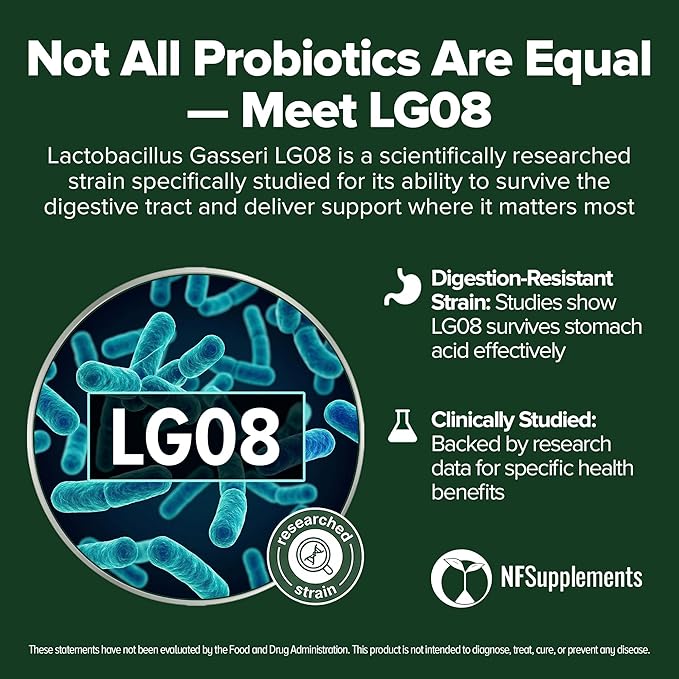 Lactobacillus Gasseri Probiotic 240 Tablets (4 Month Supply) – Researched Strain LG08 – 3 Billion CFU – Digestive Health & Antioxidant Support – GMP Certified (240, Lactobacillus Gasseri)